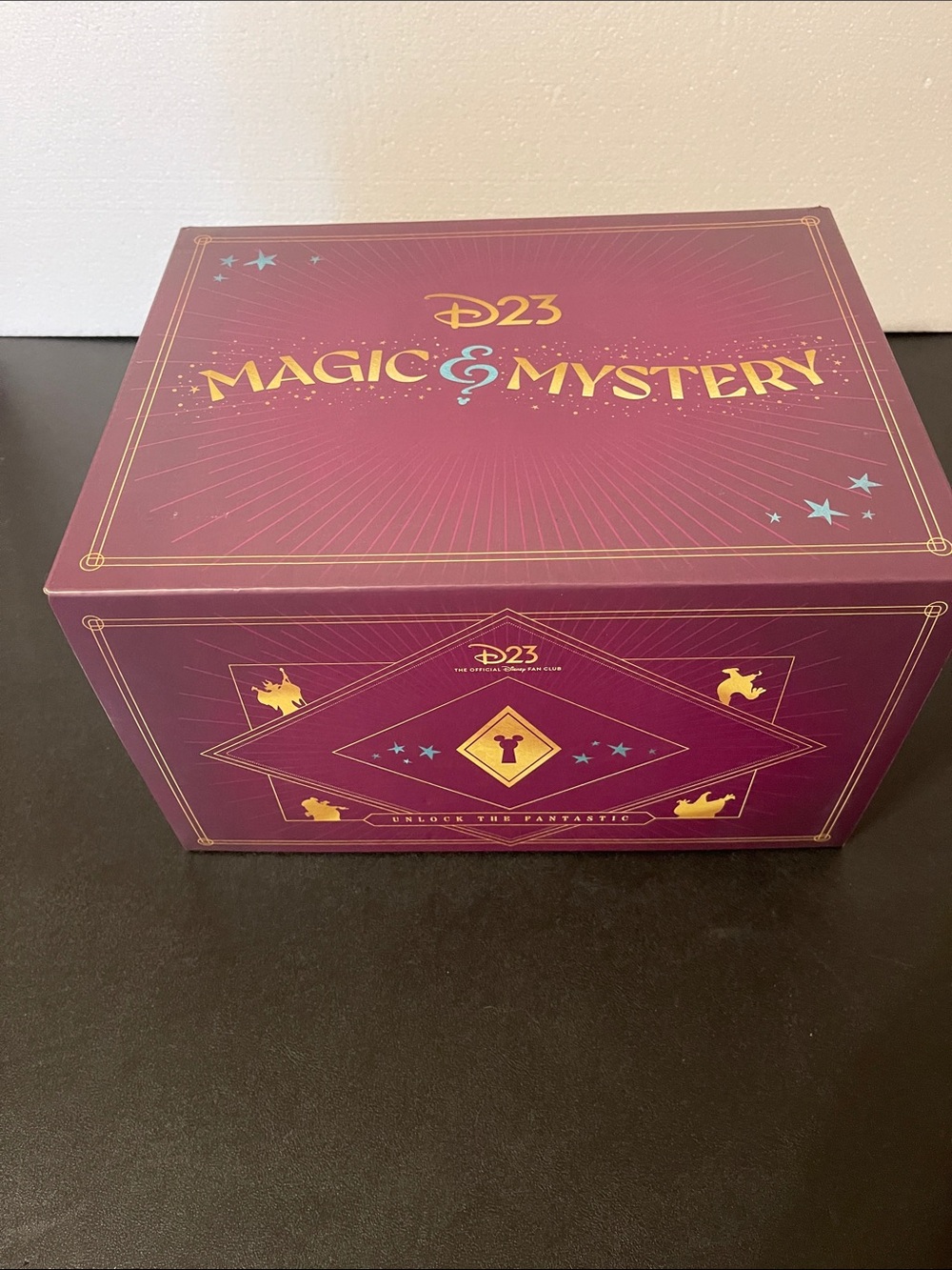 Disney D23 Magic & Mystery Box 2024 - Sorcerer Mickey